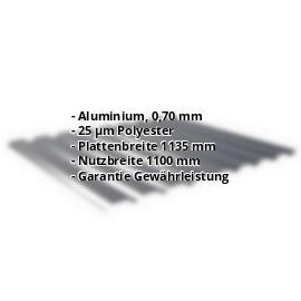 Trapezblech 20/1100 | Wand | Aluminium 0,70 mm | 25 µm Polyester | 7016 - Anthrazitgrau #2