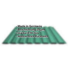 Trapezblech PA20/1100TW | 25 µm Polyester | Wand | Aluminium 0,70 mm | 6005 - Moosgrün #2