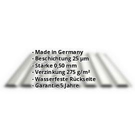 Trapezblech PS20/1100TW | 25 µm Polyester | Wand | Stahl 0,50 mm | 9002 - Grauweiß #2