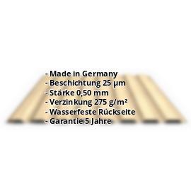 Trapezblech PS20/1100TW | 35 µm Strukturpolyester | Wand | Stahl 0,50 mm | Holzoptik - Ahorn #2