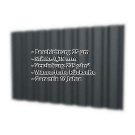 Trapezblech T20MW | 25 µm Polyester | Wand | Stahl 0,75 mm | 7016 - Anthrazitgrau #2
