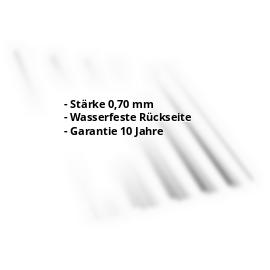 Trapezblech T35DRD | Alu Natur | Dach | Aluminium 0,70 mm | Blank Aluminium #2