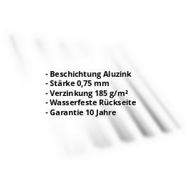 Trapezblech T35DRD | Aluzink | Dach | Stahl 0,75 mm | Blank Aluminium #2