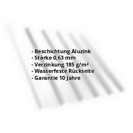 Trapezblech T35MD | Aluzink | Dach | Stahl 0,63 mm | Blank Aluminium #2