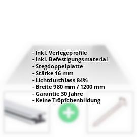 Acrylglas Stegplatte | 16 mm | Profil DUO | Sparpaket | Plattenbreite 980 mm | Klar | Breite 3,09 m | Länge 2,00 m #2