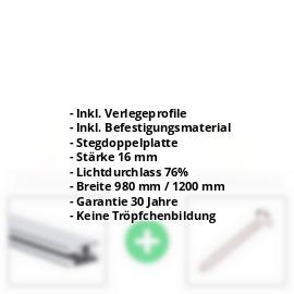 Acrylglas Stegplatte | 16 mm | Profil DUO | Sparpaket | Plattenbreite 980 mm | Opal Weiß | Breite 3,09 m | Länge 2,00 m #2