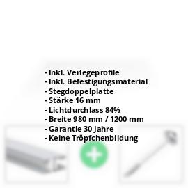 Acrylglas Stegplatte | 16 mm | Profil Mendiger | Sparpaket | Plattenbreite 980 mm | Klar | Breitkammer | Breite 3,09 m | Länge 2,00 m #2