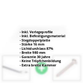Acrylglas Stegplatte | 16 mm | Profil Zevener Sprosse | Sparpaket | Plattenbreite 980 mm | Klar | Breitkammer | Breite 3,13 m | Länge 2,00 m #2