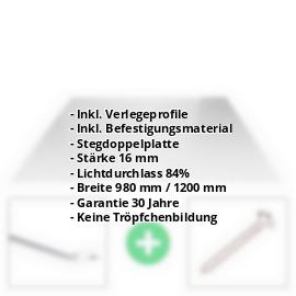 Acrylglas Stegplatte | 16 mm | Profil Zevener Sprosse | Sparpaket | Plattenbreite 1200 mm | Klar | Breite 3,79 m | Länge 2,00 m #2