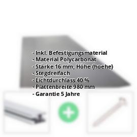Polycarbonat Stegplatte | 16 mm | Profil DUO | Sparpaket | Plattenbreite 980 mm | Anthrazitgrau | Novalite | Breite 3,09 m | Länge 2,00 m #2