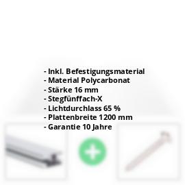 Polycarbonat Stegplatte | 16 mm | Profil DUO | Sparpaket | Plattenbreite 1200 mm | Klar | Extra stark | Breite 3,75 m | Länge 2,00 m #2