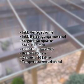 Polycarbonat Stegplatte | 16 mm | Profil ECO | Sparpaket | Plattenbreite 980 mm | Klar, leicht Violett | Breite 3,05 m | Länge 2,00 m #2