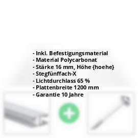 Polycarbonat Stegplatte | 16 mm | Profil Mendiger | Sparpaket | Plattenbreite 1200 mm | Klar | Extra stark | Breite 3,75 m | Länge 2,00 m #2