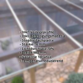 Polycarbonat Stegplatte | 16 mm | Profil Zevener Sprosse | Sparpaket | Plattenbreite 980 mm | Klar, leicht Violett | Breite 3,13 m | Länge 2,00 m #2