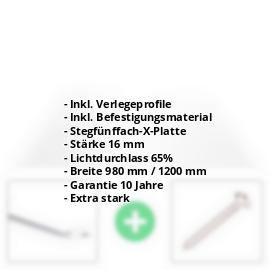 Polycarbonat Stegplatte | 16 mm | Profil Zevener Sprosse | Sparpaket | Plattenbreite 980 mm | Klar | Extra stark | Breite 3,13 m | Länge 2,00 m #2