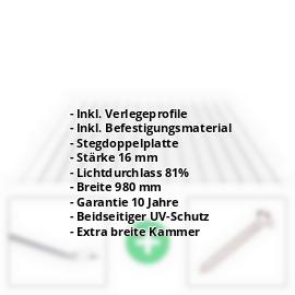 Polycarbonat Stegplatte | 16 mm | Profil Zevener Sprosse | Sparpaket | Plattenbreite 980 mm | Klar | Breitkammer | Breite 3,13 m | Länge 2,00 m #2
