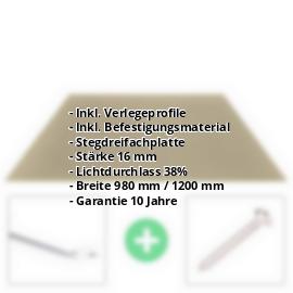Polycarbonat Stegplatte | 16 mm | Profil Zevener Sprosse | Sparpaket | Plattenbreite 980 mm | Bronze | Breite 3,13 m | Länge 2,00 m #2