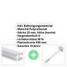 Polycarbonat Stegplatte | 25 mm | Profil Mendiger | Sparpaket | Plattenbreite 980 mm | Klar | Extra stark | Breite 3,10 m | Länge 2,00 m #2