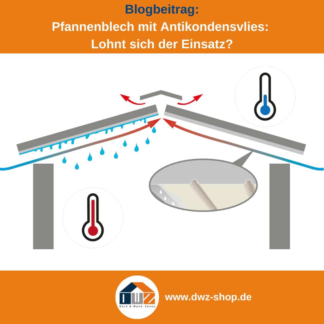 Titelgrafik eines Blogbeitrags mit dem Thema ‚Pfannenbleche mit Antikondensvlies‘ – gezeigt wird eine Schematische Skizze der Kondensatbildung bei Blechen mit und ohne Antitropf Vlies, dazu das Logo und die Webadresse von DWZ-Shop.de.