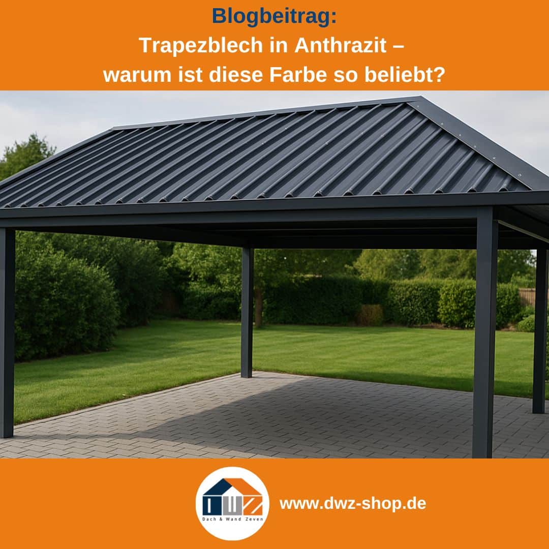 Titelgrafik eines Blogbeitrags mit dem Thema ‚Trapezblech in anthrazit‘ – gezeigt wird ein modernes Carport mit Trapezblech dach in anthrazit, dazu das Logo und die Webadresse von DWZ-Shop.de.