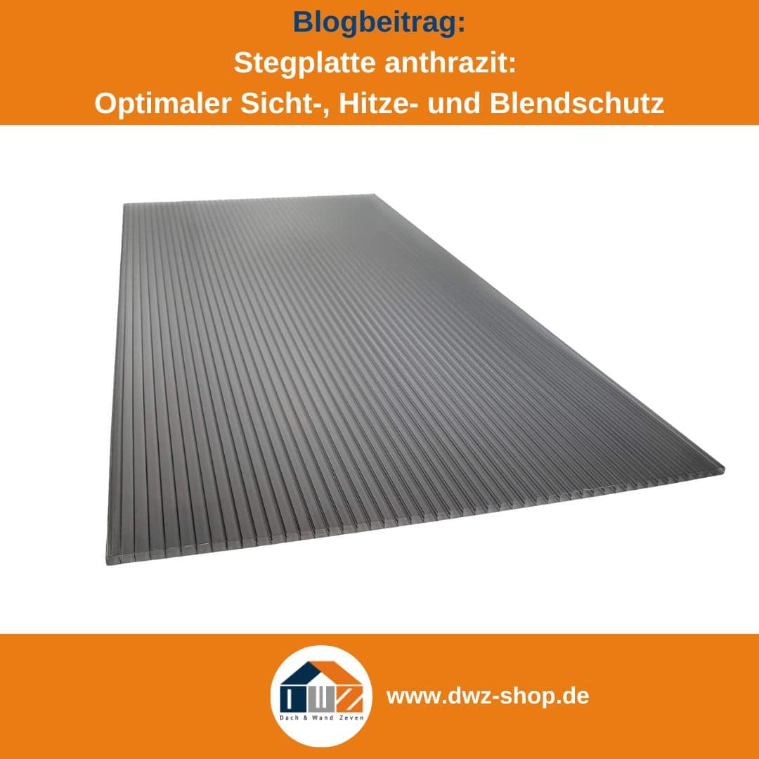 Titelgrafik eines Blogbeitrags mit dem Thema ‚Stegplatte in anthrazit‘ – gezeigt wird eine Stegplatte in anthrazit vor weißem Hintergrund, dazu das Logo und die Webadresse von DWZ-Shop.de.