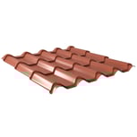 Pfannenblech EUROPA | Anti-Tropf 1000 g/m²