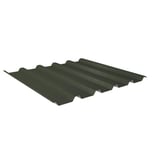 Trapezblech 35/207 | Dach | Anti-Tropf 2400 g/m²