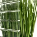 Acrylglas Stegdoppelplatte | 16 mm | Breite 98 cm | Klar | 2,00 m #3