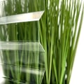 Polycarbonat Spundwandplatte | 76/18 | Sparpaket | 0,90 mm | Klar | Breite 3,24 m | Länge 2,00 m #4