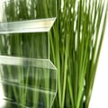 Polycarbonat Spundwandplatte | 76/18 | 0,80 mm | Klar | 2,00 m #3