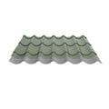 Pfannenblech 2/1060 | Anti-Tropf 1000 g/m² | Stahl 0,50 mm | 25 µm Polyester | 6011 - Resedagrün #5