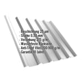 Trapezblech T35/207M | Dach | Anti-Tropf 700 g/m² | Stahl 0,50 mm | 25 µm Polyester | 7035 - Lichtgrau #2
