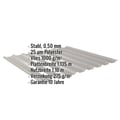 Trapezblech 20/1100 | Dach | Anti-Tropf 1000 g/m² | Stahl 0,50 mm | 25 µm Polyester | 9007 - Graualuminium #2