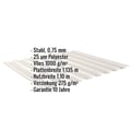 Trapezblech 20/1100 | Dach | Anti-Tropf 1000 g/m² | Stahl 0,75 mm | 25 µm Polyester | 9002 - Grauweiß #2