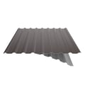 Trapezblech 20/1100 | Dach | Anti-Tropf 2400 g/m² | Stahl 0,50 mm | 25 µm Polyester | 8014 - Sepiabraun #9