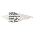 Trapezblech 20/1100 | Wand | Stahl 0,63 mm | 25 µm Polyester | 9002 - Grauweiß #2