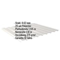 Trapezblech 20/1100 | Wand | Stahl 0,63 mm | 25 µm Polyester | 9006 - Weißaluminium #2