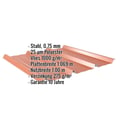 Trapezblech 45/333 | Dach | Anti-Tropf 1000 g/m² | Stahl 0,75 mm | 25 µm Polyester | 8004 - Kupferbraun #2