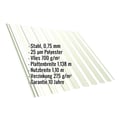 Trapezblech T18DR | Dach | Anti-Tropf 700 g/m² | Stahl 0,75 mm | 25 µm Polyester | 9002 - Grauweiß #2
