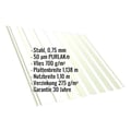 Trapezblech T20M | Dach | Anti-Tropf 700 g/m² | Stahl 0,75 mm | 50 µm PURLAK® | 9002 - Grauweiß #2