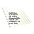 Trapezblech T20M | Dach | Anti-Tropf 700 g/m² | Stahl 0,75 mm | 25 µm Polyester | 9002 - Grauweiß #2
