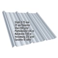 Trapezblech T45/333M | Dach | Anti-Tropf 700 g/m² | Stahl 0,75 mm | 25 µm Polyester | 9006 - Weißaluminium #2