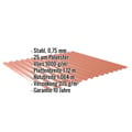 Wellblech 18/1064 | Dach | Anti-Tropf 1000 g/m² | Stahl 0,75 mm | 25 µm Polyester | 8004 - Kupferbraun #2