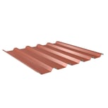 Trapezblech 35/207 | Dach | Anti-Tropf 700 g/m²