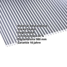 Polycarbonat Stegplatte | 16 mm | Breite 980 mm | Klar / Anthrazit gestreift | Beidseitiger UV-Schutz | 4000 mm #2