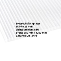Polycarbonat Stegplatte | 25 mm | Breite 1200 mm | Klar | Extra Stark | 2500 mm #2