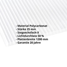 Polycarbonat Stegplatte | 25 mm | Breite 1200 mm | Klar | Extra Stark | 4000 mm #2