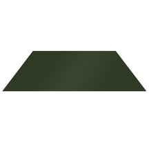 Flachblech | Stahl 0,50 mm | 25 µm Polyester | 6020 - Chromoxidgrün #1