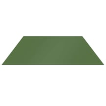 Flachblech | Stahl 0,50 mm | 25 µm Polyester | 6011 - Resedagrün #1