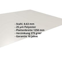 Flachblech | Stahl 0,63 mm | 25 µm Polyester | 9002 - Grauweiß #2